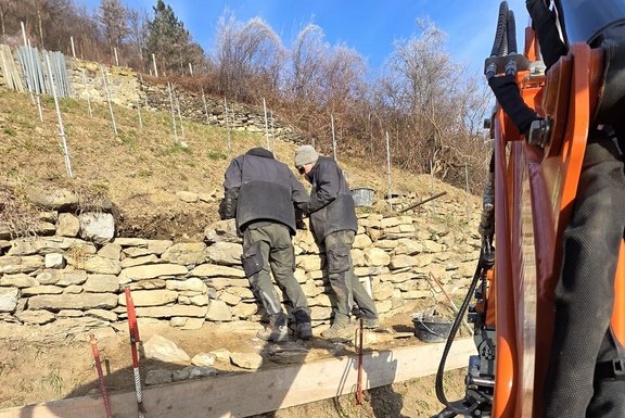 Instandstellung Trockenmauern Rössliwingert Instandstellung Trockenmauern Rössliwingert